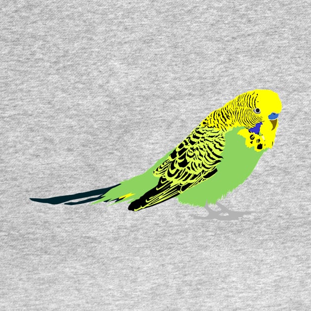 Budgie by stargatedalek